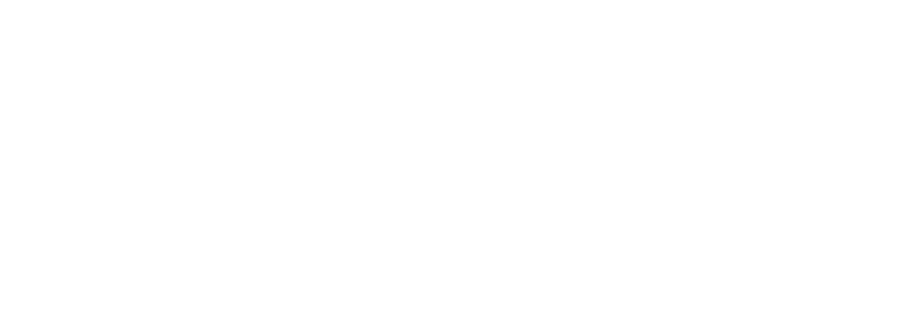 Skyline Global Traders Pvt. Ltd. Logo
